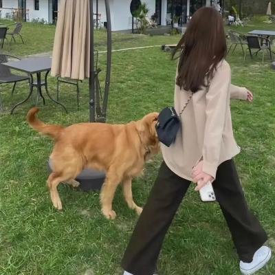 大小谎言第一季
